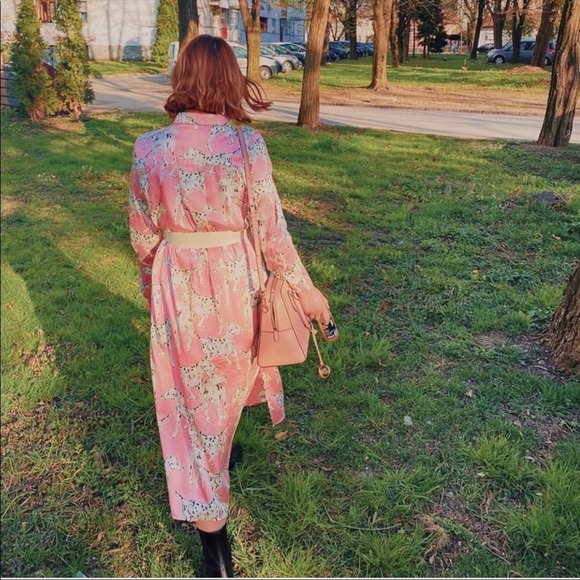 ZARA DALMATIAN DOG PRINTED LONG SHIRT - Picture 3 of 13